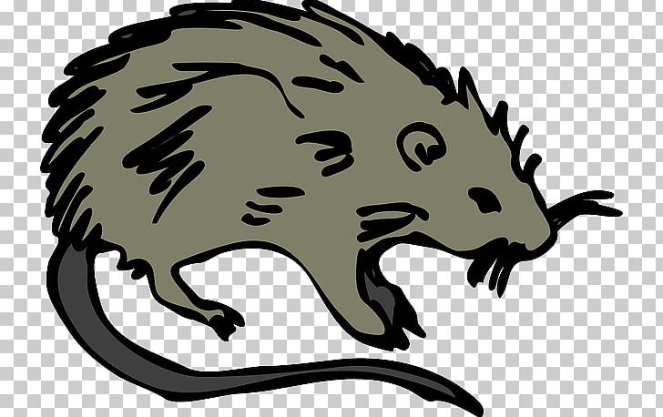 Brown Rat Rodent Laboratory Rat Mouse PNG, Clipart, Animals, Artwork, Bear, Black Rat, Brown Rat Free PNG Download
