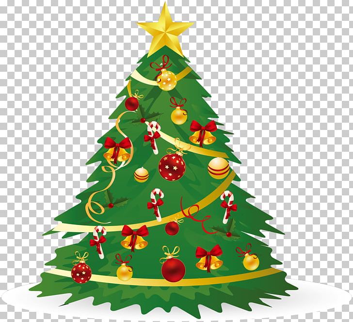 Christmas Christmas Tree Christmas Day Christmas Ornament PNG, Clipart, Christmas, Christmas Day, Christmas Decoration, Christmas Ornament, Christmas Tree Free PNG Download