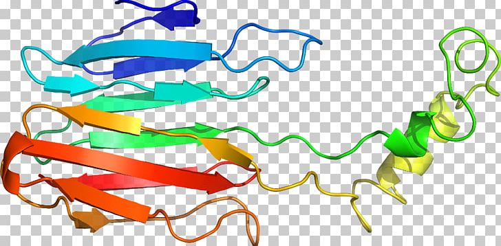 Line Point Body Jewellery PNG, Clipart, Acyl Carrier Protein, Area, Art, Artwork, Body Jewellery Free PNG Download