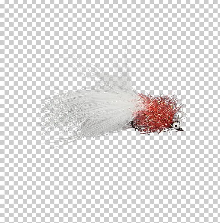 Okeechobee Artificial Fly Treatment Of Cancer Holly Flies PNG, Clipart, Artificial Fly, Cancer, Cure, Feather, Fishing Free PNG Download