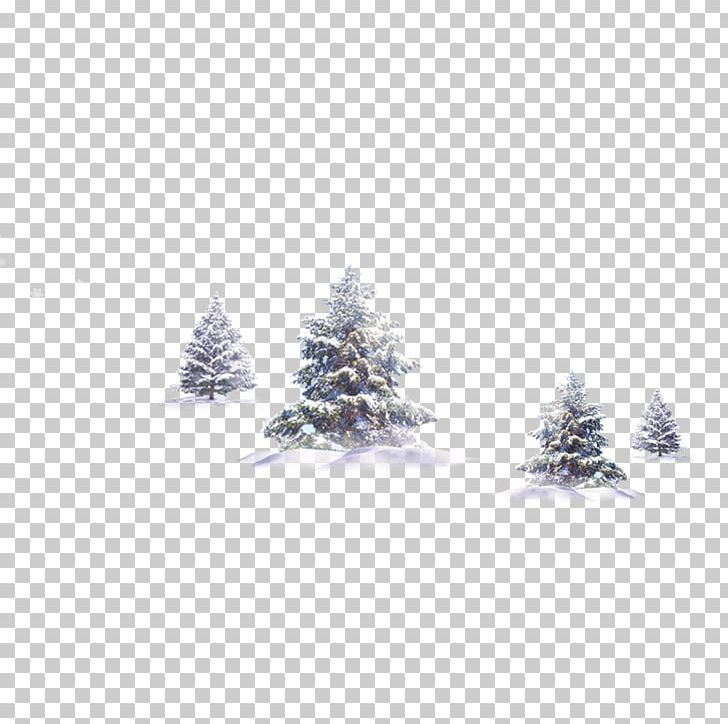 Tree Winter Snow PNG, Clipart, Dahan, Decorative Patterns, Design, Download, Encapsulated Postscript Free PNG Download