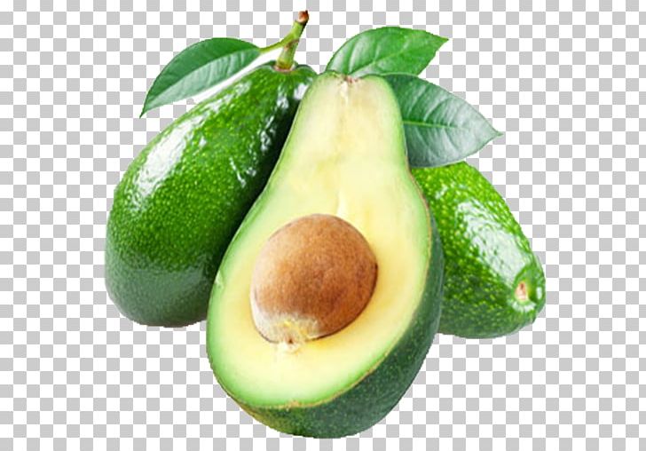 Avocado Oil Food Hass Avocado PNG, Clipart, Avakado, Avocado, Avocado Oil, Benefit, Blt Free PNG Download