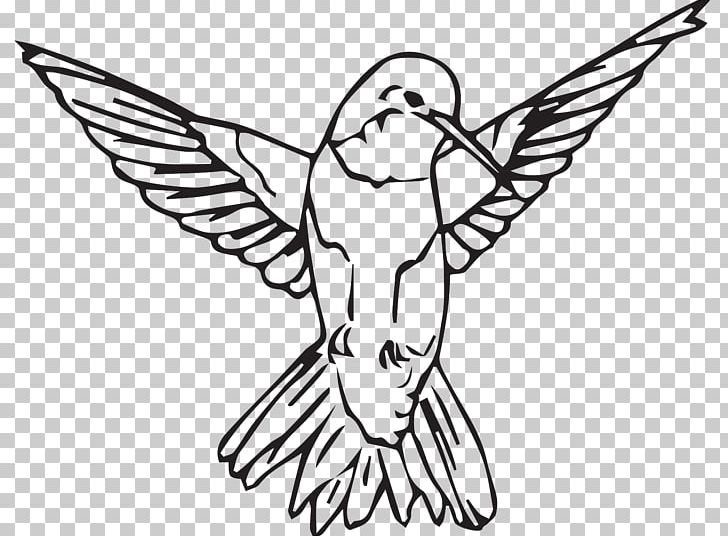 Drawing Line Art /m/02csf Beak Illustration PNG, Clipart, Art, Artwork, Beak, Bird, Black Free PNG Download