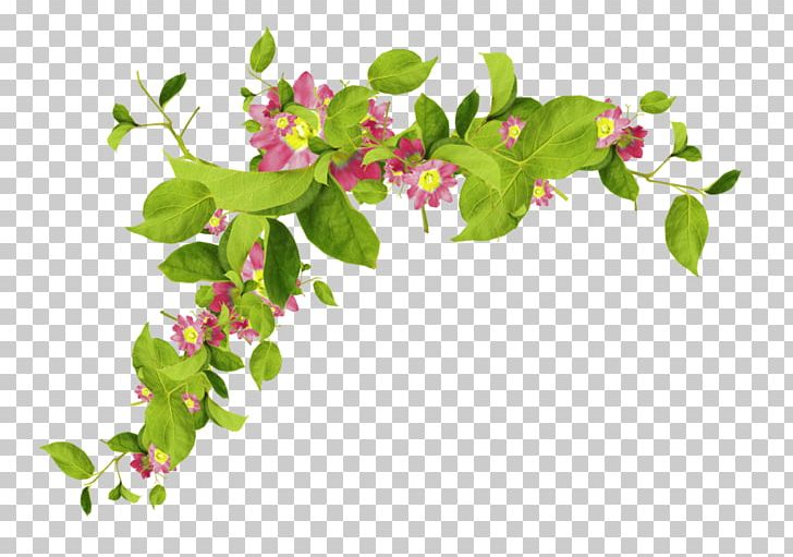Lossless Compression PNG, Clipart, Blossom, Branch, Cicek, Color Depth, Data Free PNG Download