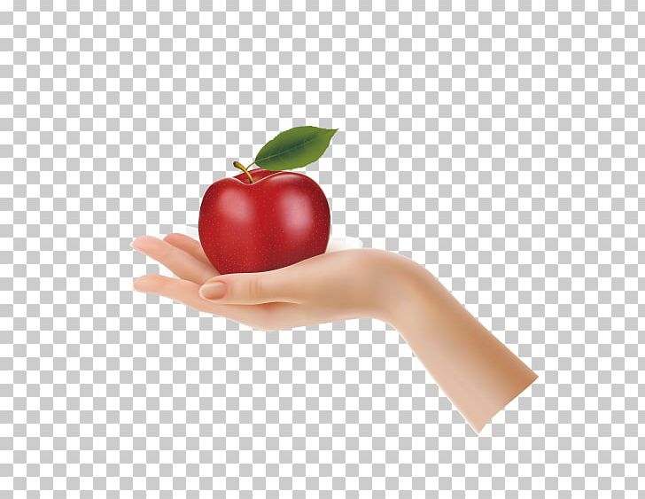 Apple Hand Stock Photography PNG, Clipart, Apple, Apple Fruit, Apple Logo, Apples, Apple Tree Free PNG Download