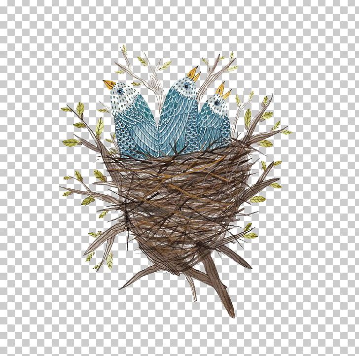 Edible Birds Nest Bird Nest Watercolor Painting PNG, Clipart, Animals, Art, Bird, Bird Cage, Bird Nest Free PNG Download