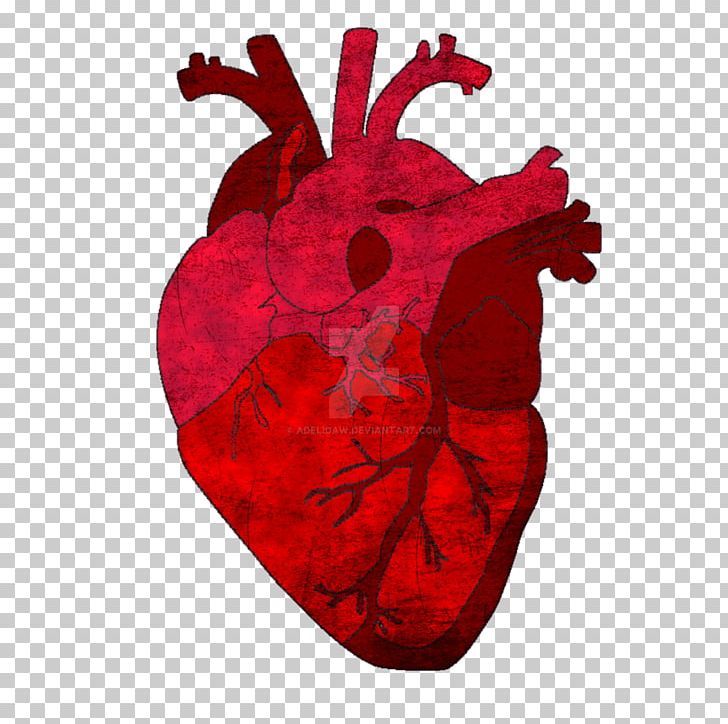 Gray's Anatomy Saatchi Art Heart PNG, Clipart,  Free PNG Download