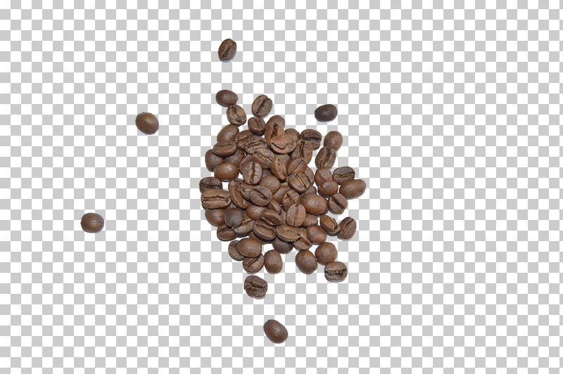 Food Plant Seed Spice PNG, Clipart, Food, Plant, Seed, Spice Free PNG Download