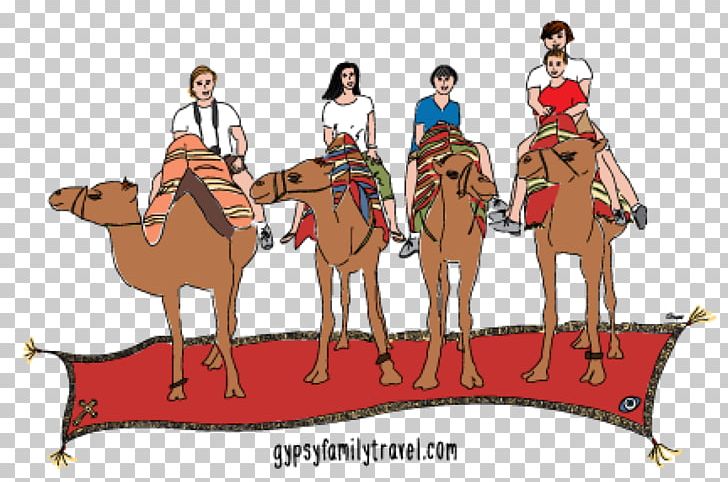 Dromedary Travel Desert PNG, Clipart, Arabian Camel, Camel, Camel Like Mammal, Cartoon, Child Free PNG Download