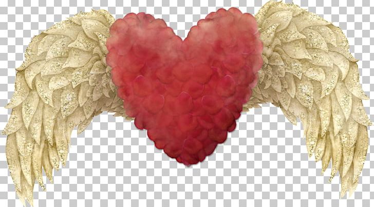 Cherub Wing PNG, Clipart, Adobe Illustrator, Angel, Angel Wing, Angel Wings, Blog Free PNG Download