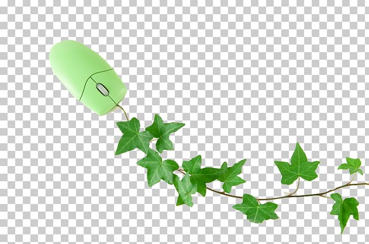 Computer Mouse PNG, Clipart, Angle, Animals, Branch, Computer, Computer Mouse Free PNG Download