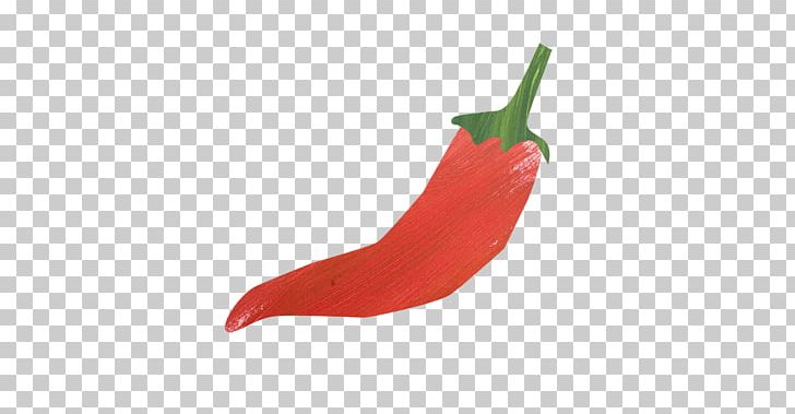 Mexican Cuisine Serrano Pepper Cayenne Pepper Chili Pepper Ingredient PNG, Clipart, Bell Peppers And Chili Peppers, Capsicum, Capsicum Annuum, Cayenne Pepper, Chili Pepper Free PNG Download
