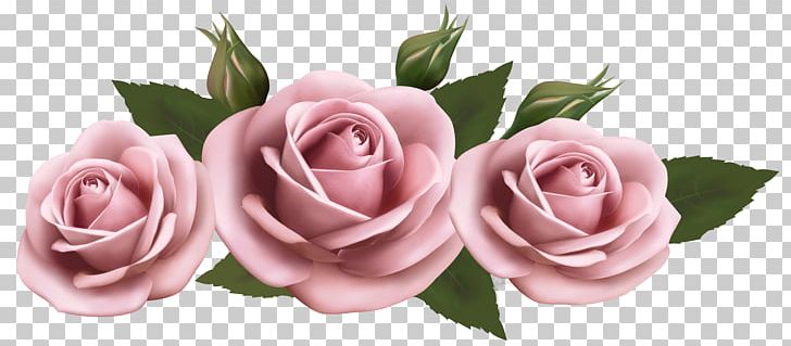 Garden Roses Flower PNG, Clipart, Blue Rose, Clip Art, Cut Flowers, Day, Desktop Wallpaper Free PNG Download