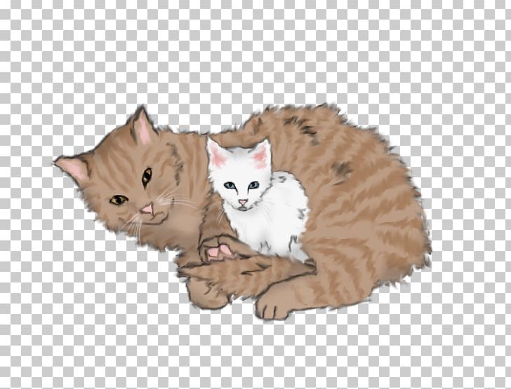 Kitten Domestic Short-haired Cat Warriors Speckletail PNG, Clipart, Animals, Brightheart, Carnivoran, Cat, Cat Like Mammal Free PNG Download