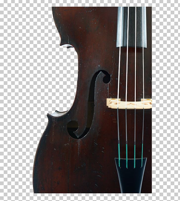 Bass Violin Double Bass Violone Viola Octobass PNG, Clipart, Acoustic Electric Guitar, Acousticelectric Guitar, Bass Guitar, Bass Violin, Cellist Free PNG Download