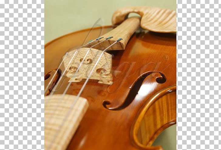 Bass Violin Violone Viola Musical Instruments PNG, Clipart, Acoustic Electric Guitar, Acousticelectric Guitar, Acoustic Music, Baroque, Bass Free PNG Download