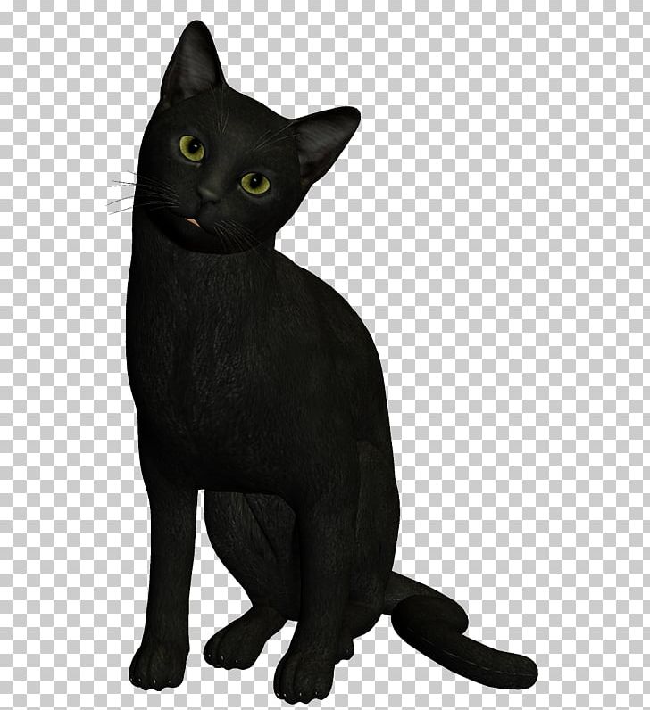 Bombay Cat Burmese Cat Havana Brown Korat Black Cat PNG, Clipart, Black, Black Cat, Bombay, Bombay Cat, Burmese Free PNG Download