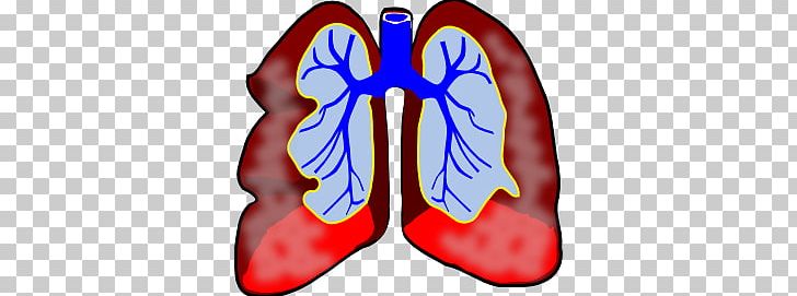 Lung PNG, Clipart, Bronchus, Electric Blue, Heart, Human Body, Human Lung Free PNG Download