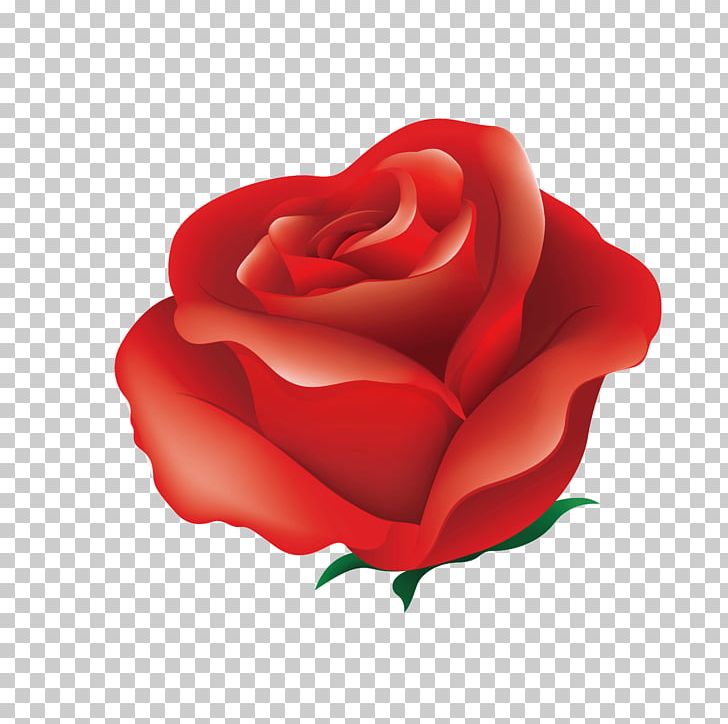 Rose Red Pink Illustration PNG, Clipart, Art, Bright Red, Computer Wallpaper, Flower, Flower Bouquet Free PNG Download