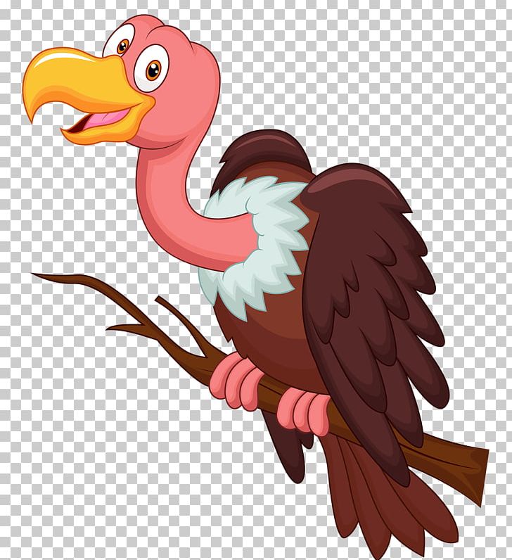 Bird Vulture Cartoon PNG, Clipart, Animals, Beak, Bird, Bird Of Prey, Cartoon Free PNG Download