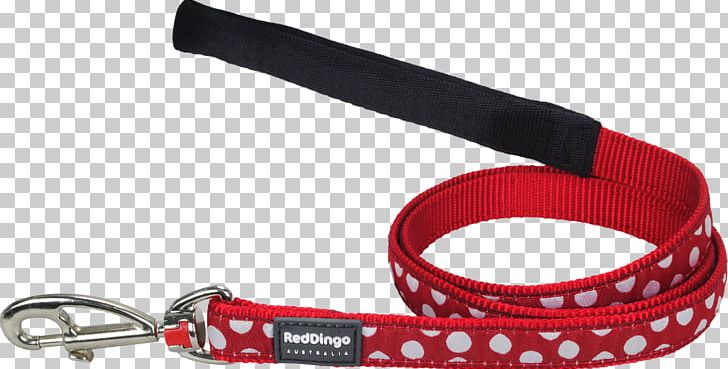 Dingo Chihuahua Leash Dog Collar PNG, Clipart, Cat Litter Trays, Chihuahua, Collar, Dingo, Dog Free PNG Download