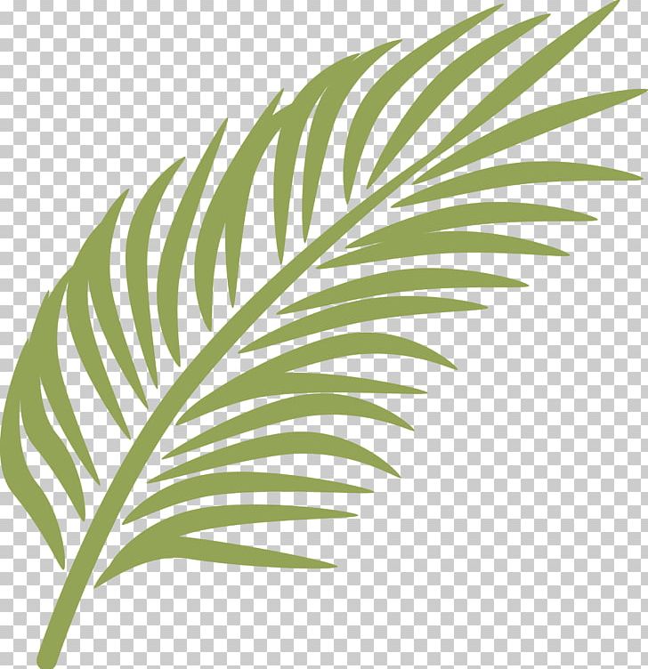 Palm Branch Palm Sunday Arecaceae PNG, Clipart, Arecaceae, Arecales, Banana Leaf, Calvary, Computer Icons Free PNG Download