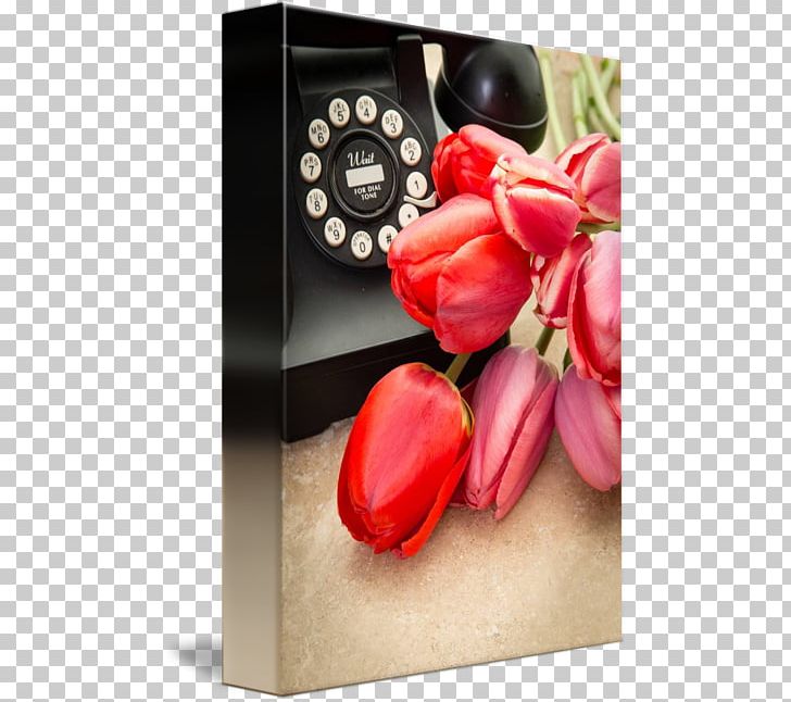 Petal Tulip PNG, Clipart, Flower, Petal, Plant, Red, Tulip Free PNG Download