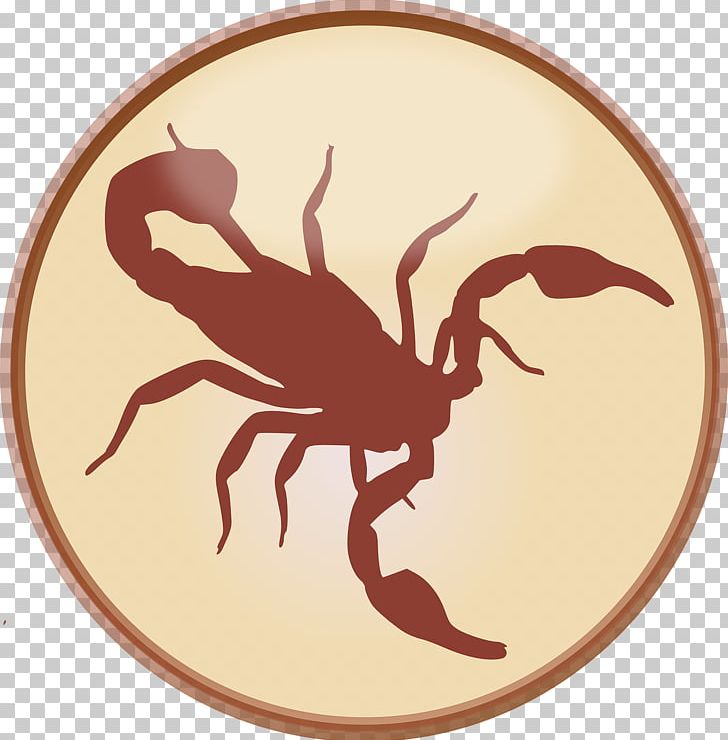 Scorpion PNG, Clipart, Animals, Arachnid, Crab, Decapoda, Download Free PNG Download