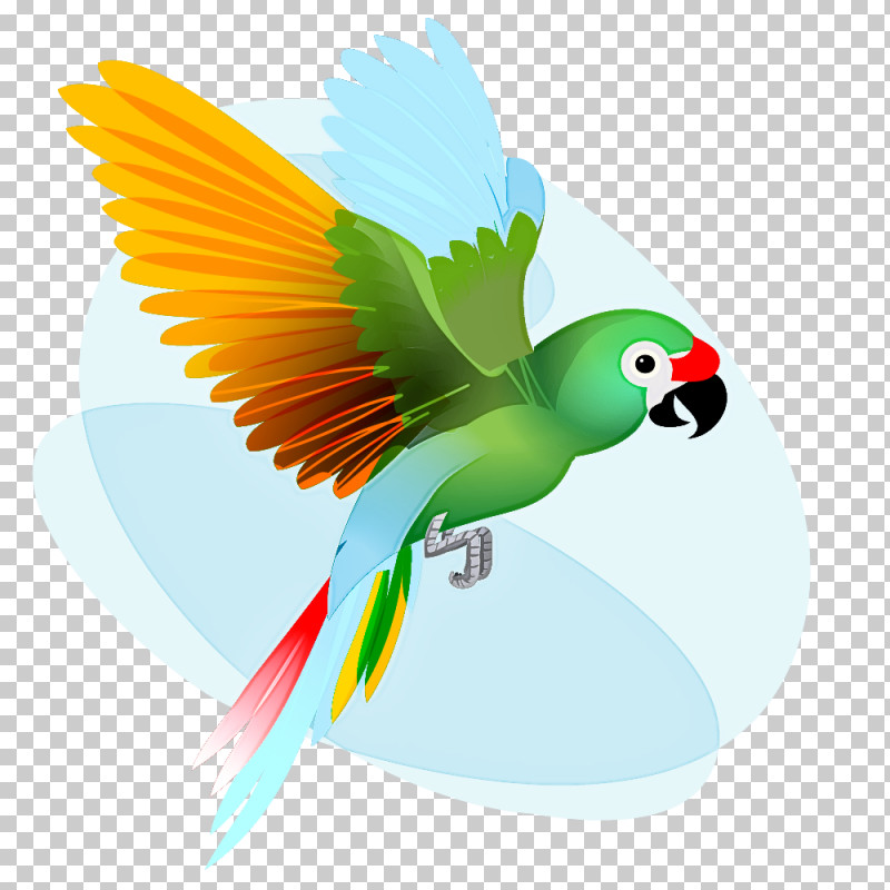 Lovebird PNG, Clipart, Beak, Birds, Drawing, Feather, Lovebird Free PNG Download