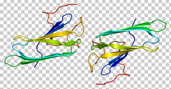 PTGES3 Protein Prostaglandin E Synthase Co-chaperone Hsp90 PNG, Clipart, Art, Chaperone, Cochaperone, Drawing, Enzyme Free PNG Download