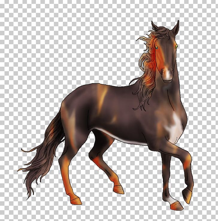 Stallion Mustang Pony Halter Mare PNG, Clipart, Animal, Bridle, Halter, Horse, Horse Like Mammal Free PNG Download