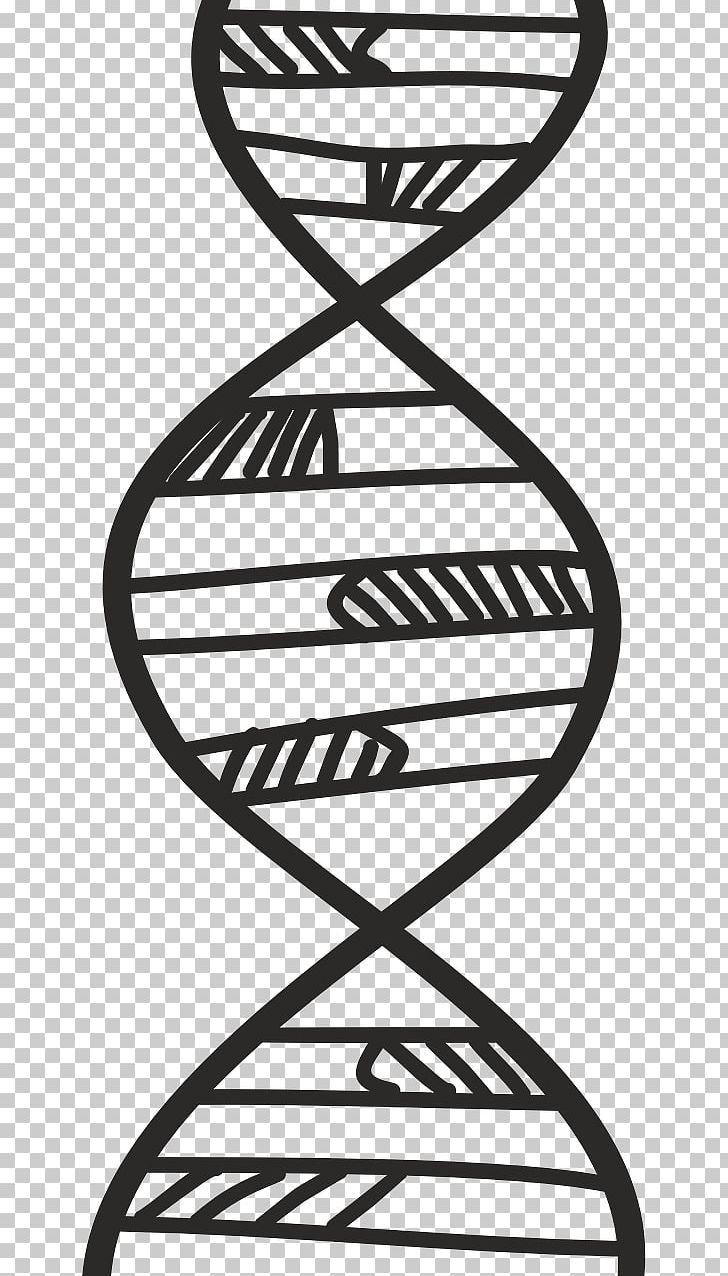DNA Genetics Biology Science Biochemistry PNG, Clipart, Acid, Area, Biochemistry, Biology, Black And White Free PNG Download
