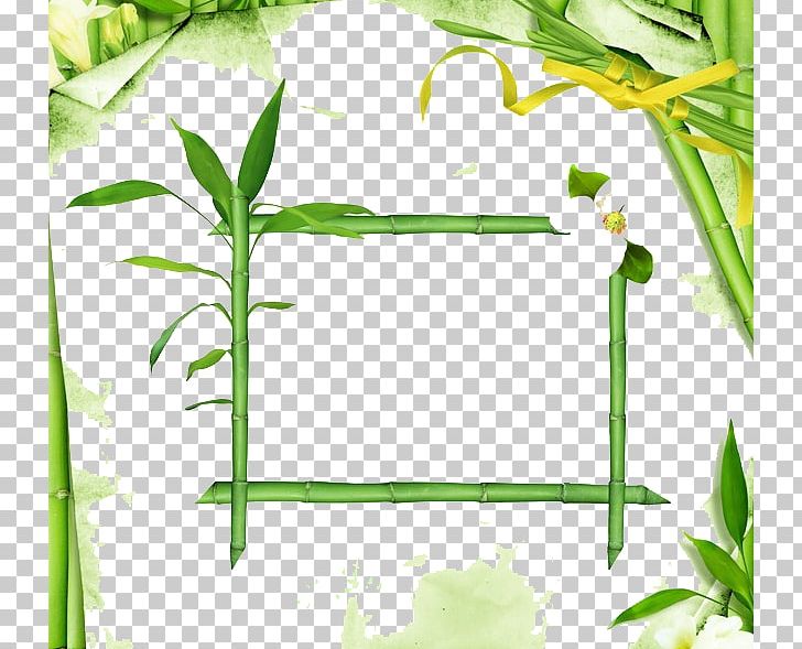 Lucky Bamboo PNG, Clipart, Area, Bamboo, Beautiful, Border Frame, Branch Free PNG Download