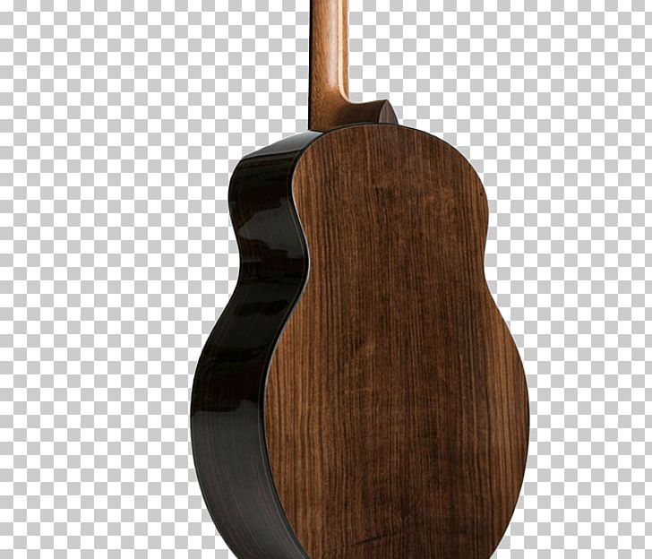 Acoustic Guitar Fret Bass Guitar Cavaquinho PNG, Clipart, Acousticelectric Guitar, Acoustic Guitar, Avian, Bass Guitar, Cavaquinho Free PNG Download