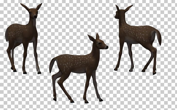 Deer Elk Wildlife Illustration PNG, Clipart, 3d Computer Graphics, Antelope, Deer, Elk, Fauna Free PNG Download