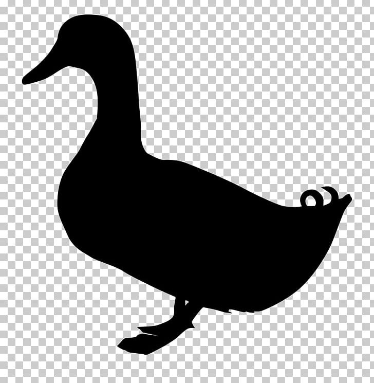 Duck Goose PNG, Clipart, Animals, Art, Artwork, Beak, Bird Free PNG Download