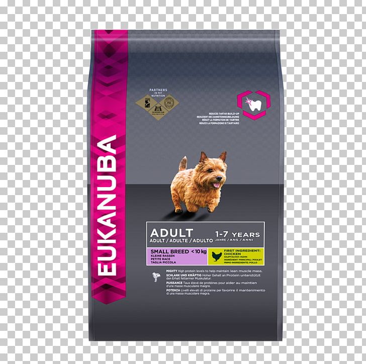 Puppy Maltese Dog Dog Food Eukanuba PNG, Clipart, Advertising, Animals, Breed, Chicken As Food, Dog Free PNG Download