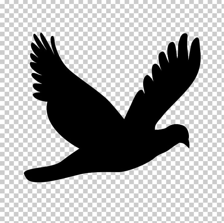 Silhouette PNG, Clipart, Animals, Beak, Bird, Bird Of Prey, Black And White Free PNG Download