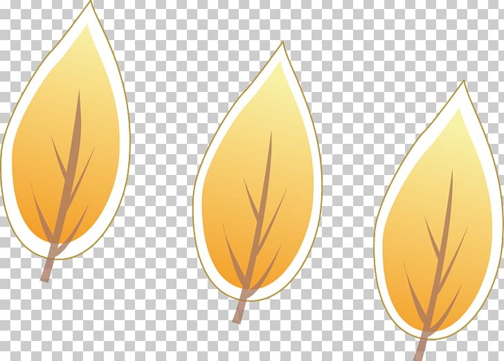 Tree Papua New Guinea Drawing PNG, Clipart, Autumn Leaves, Banana Leaves, Commodity, Drawing, Fall Leaves Free PNG Download