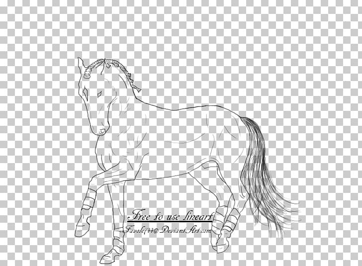 Halter Foal Mane Mustang Stallion PNG, Clipart, Artwork, Black And White, Bridle, Colt, Drawing Free PNG Download