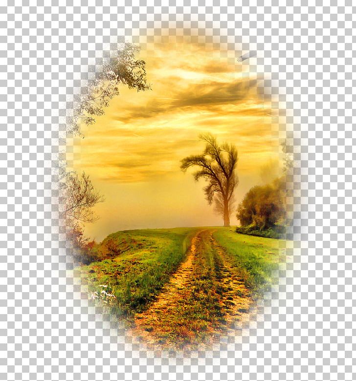 Nature Photography Painting Nature Photography PNG, Clipart, Alsace, Computer Wallpaper, Desktop Wallpaper, God, Grass Free PNG Download