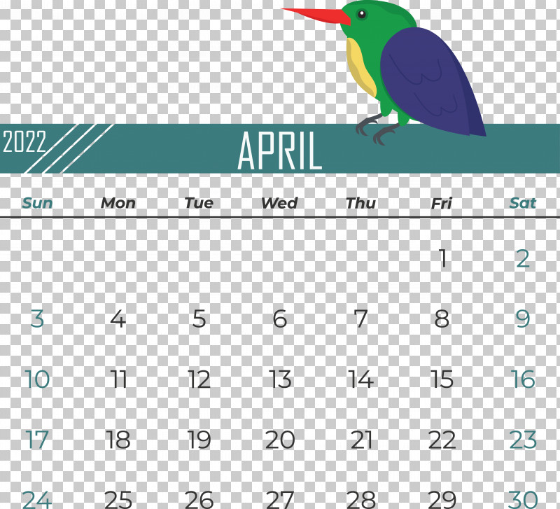 Birds Logo Font Beak Calendar PNG, Clipart, Beak, Biology, Birds, Calendar, Geometry Free PNG Download