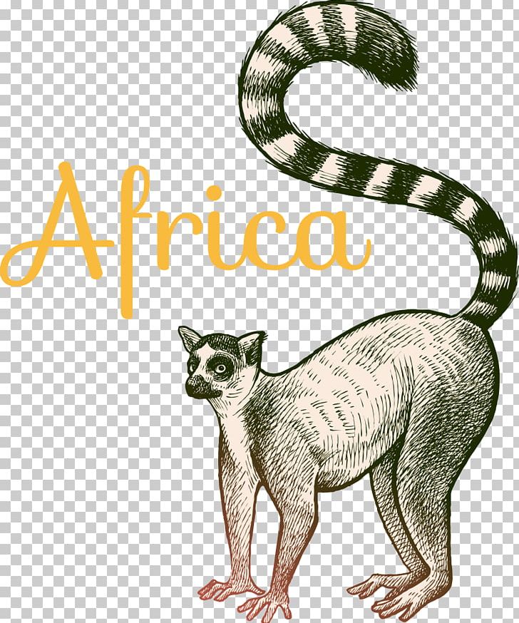 Cartoon Ring-tailed Lemur PNG, Clipart, Animal, Bal, Carnivoran, Cartoon, Cartoon Animals Free PNG Download