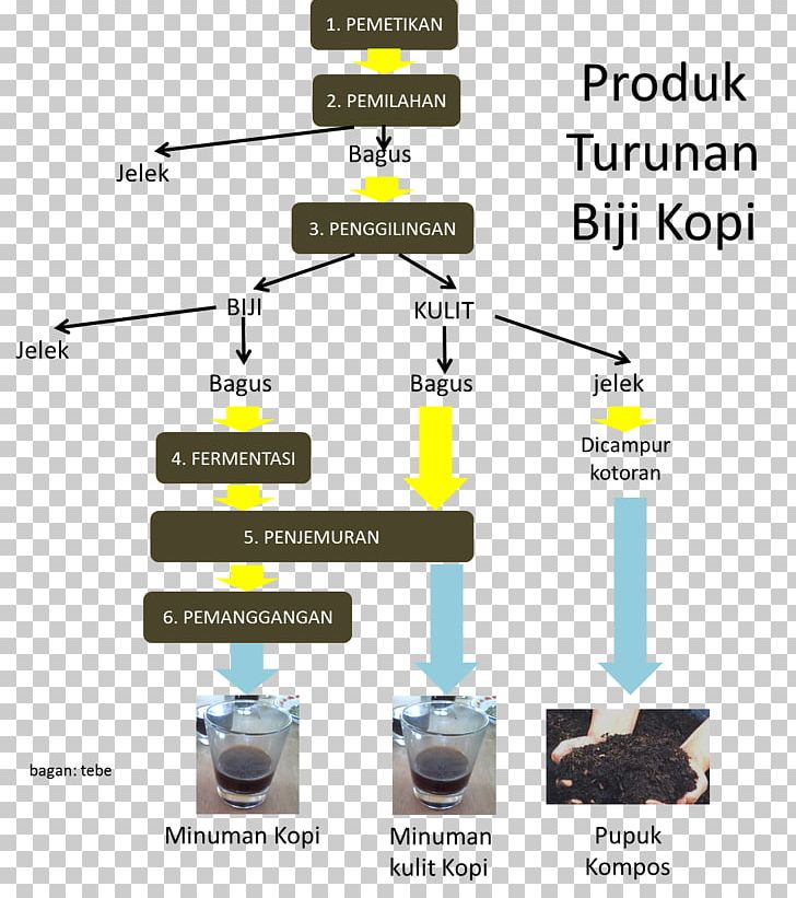 Coffee Bean Drink Coffea Process PNG, Clipart, Chart, Coffea, Coffee, Coffee Bean, Crop Free PNG Download