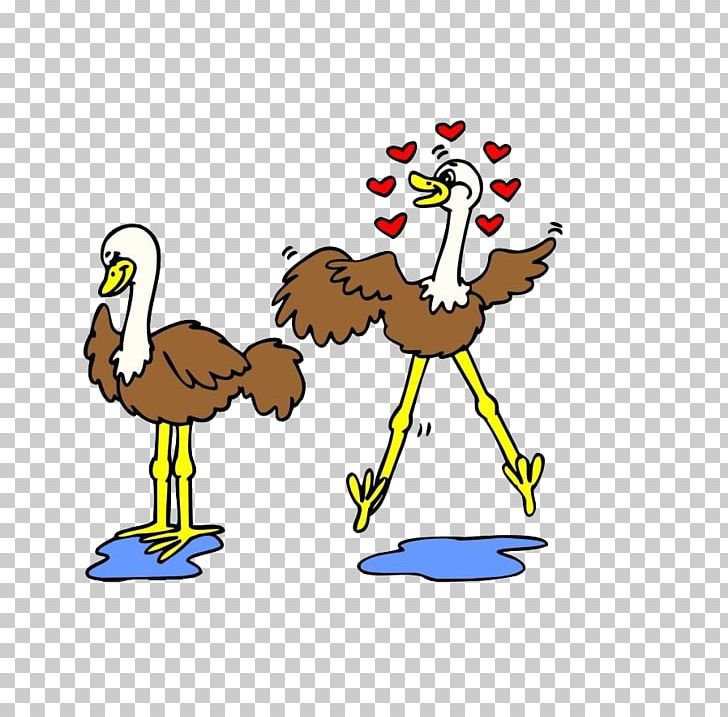 Common Ostrich Bird Windows Metafile PNG, Clipart, Animal, Animals, Area, Cartoon, Chicken Free PNG Download