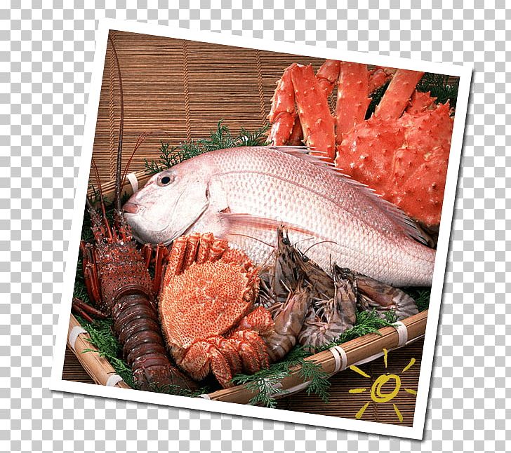 Fish Meat Seafood Nutrient PNG, Clipart, Animals, Animal Source Foods, Beef, Chicken Meat, Eating Free PNG Download