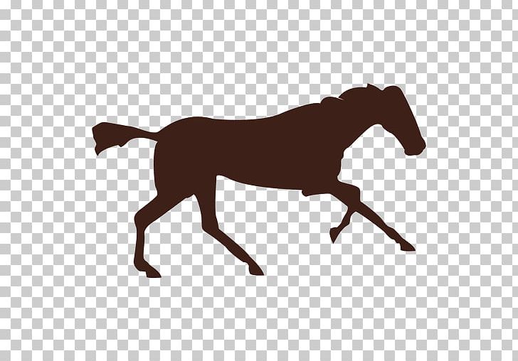 Horse Gallop Mule Photographer Photography PNG, Clipart, Animal Figure, Animals, Art, Bridle, Colt Free PNG Download