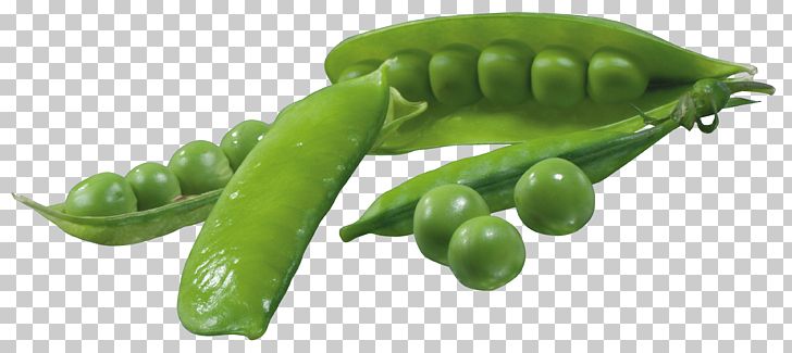 Pea PNG, Clipart, Bell Pepper, Broccoli, Carrot, Clipart, Clip Art Free PNG Download