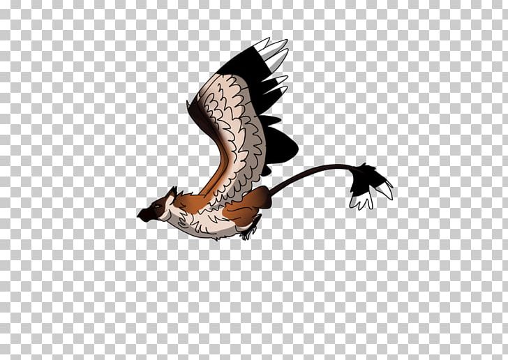 Shoe PNG, Clipart, Beak, Claw, Flying Fox, Shoe, Wing Free PNG Download