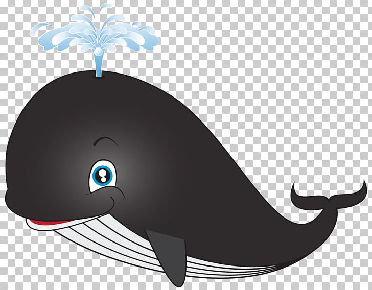 Sperm Whale Cartoon PNG, Clipart, Blue Whale, Cartoon, Clip Art, Dolphin, Drawing Free PNG Download